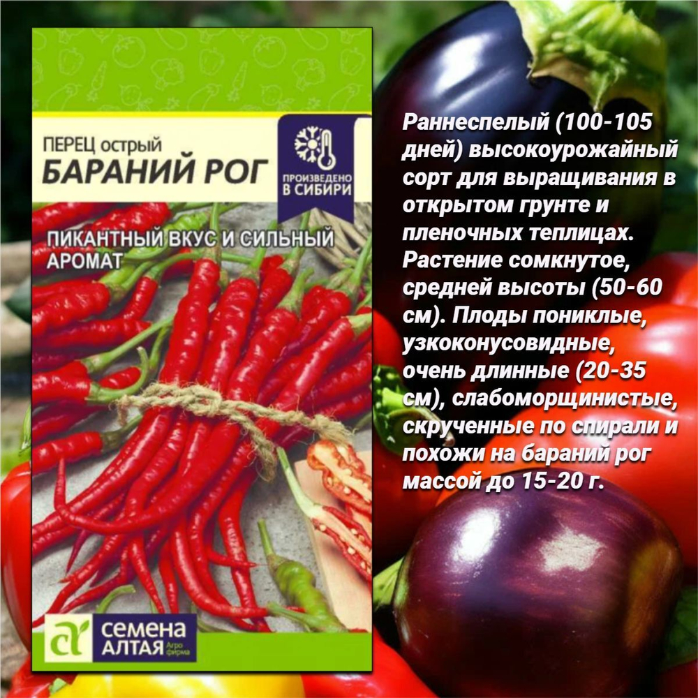 Семена баклажан и перца: лучшие сорта для выращивания в домашних условиях.