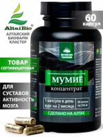 Концентрат Мумие (Concentrate Mummyo)