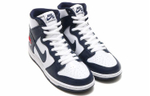 Кроссовки Nike Dunk Sb Future Court Obsidian