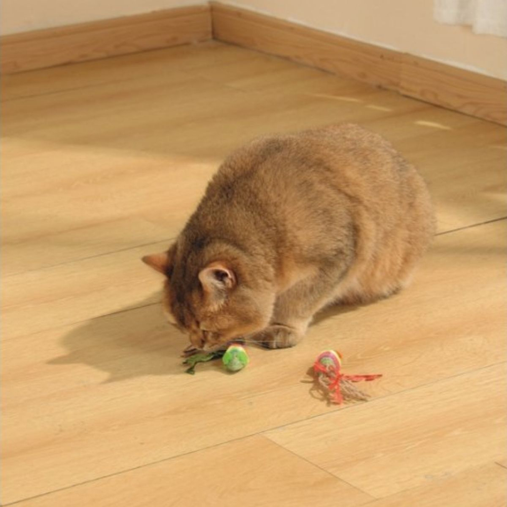 M-PETS Игрушка для кошек с кошачьей мятой CHARMY мышки