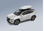 Mercury  автомобильный бокс L 190см, белый глянец 24491