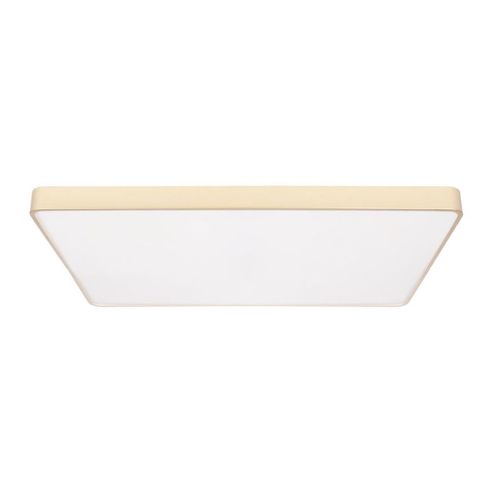 Потолочный светодиодный светильник Loft IT Flims 10228/E