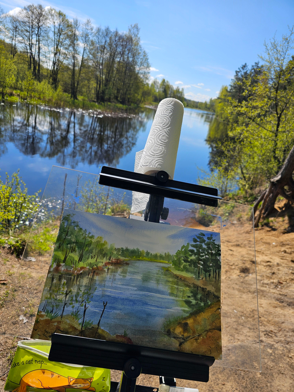 Картина авторская акварельная в паспарту 30х40 см на стену для интерьера "Река Желча, Псковская область."