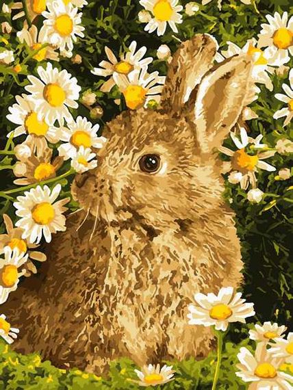 Nömrələr ilə rəngləmə Lori Зайчик в Ромашках Ркн/ф-168