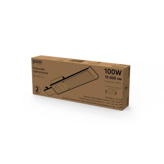 Уличный светодиодный консольный светильник Gauss Avenue 629534100