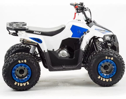 Квадроцикл MZ Eagle 110