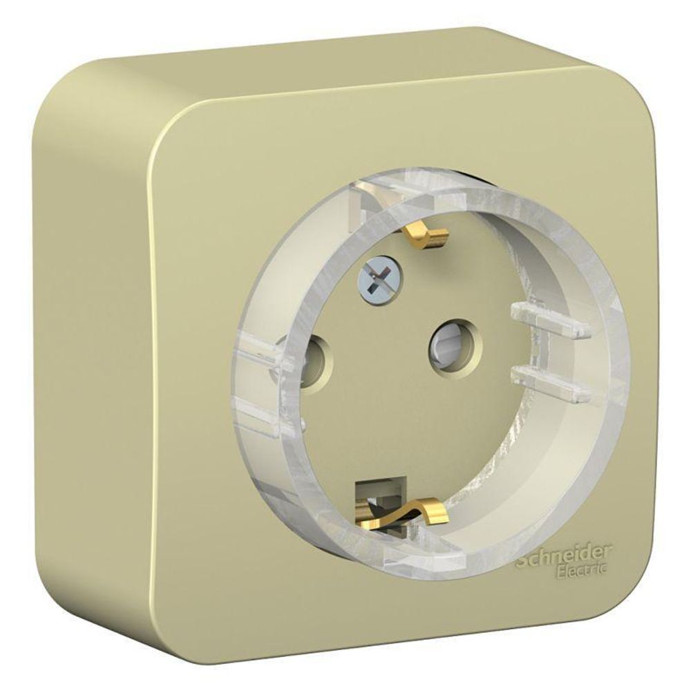 Розетка 1-м ОП Blanca 16А IP20 250В с заземл. защ. шторки с изолир. пластиной (компакт) беж. SE BLNRA111117 Розетка 1-м ОП Blanca 16А IP20 250В с заземл. защ. шторки с изолир. пластиной (компакт) беж. SE BLNRA111117