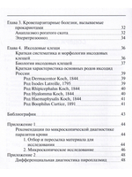 Кровепаразитарные болезни домашних животных