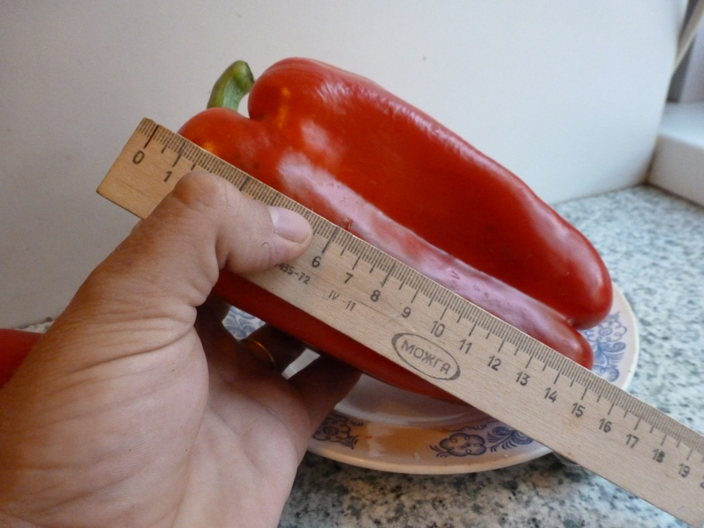 Перец Сладкий Гигантский — Big Bertha - Большая Берта