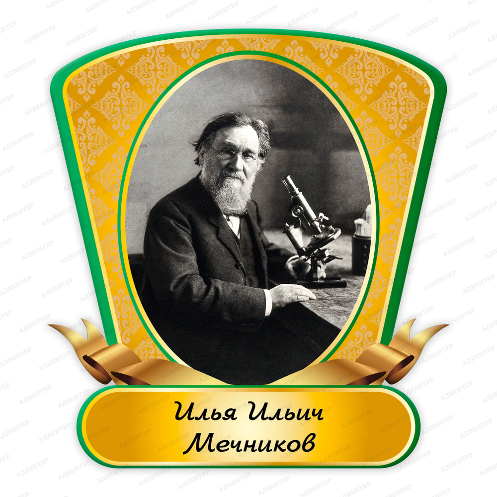 Портрет фигурный Илья Ильич Мечников Ilya Mechnikov 2366