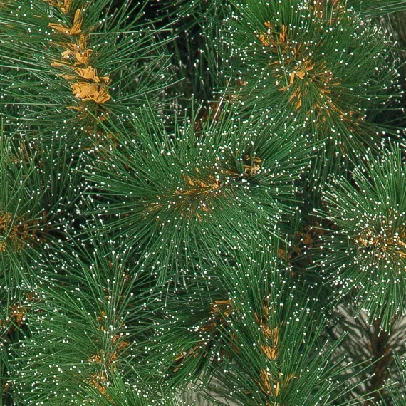 Искусственная сосна Полярная 210 см., Леска , ЕлкиТорг (48210)