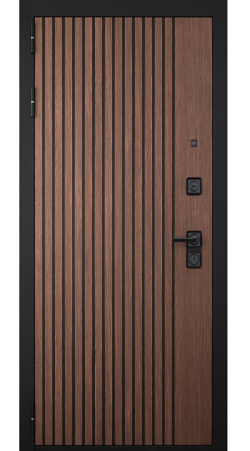 Входная дверь Шторм