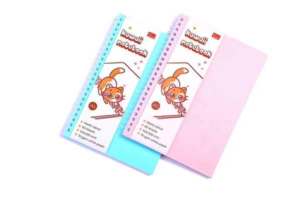 Модные тетради Kawaii Notebook рвут шаблоны