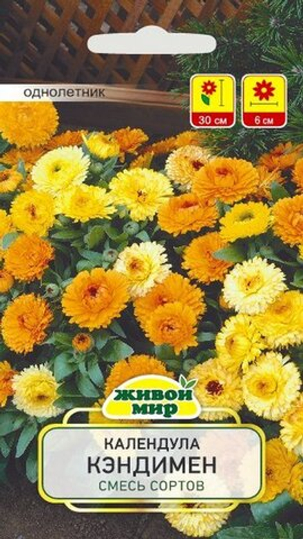 Kaлeндyлa "ЖМ. Kэндимeн" 1г., Польша.