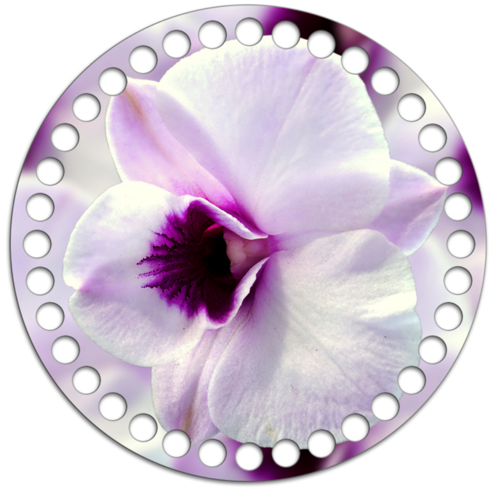 Донышко Принт 15см