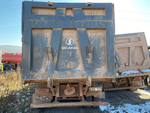 Shacman (Shaanxi) SX* 8x4 Самосвал SX331863366 (Дизельный, 12,5 л, 551 л.с., МТ)