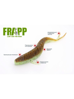 Приманка силиконовая Frapp Placoid 8" #PAL02 (2 шт/уп)