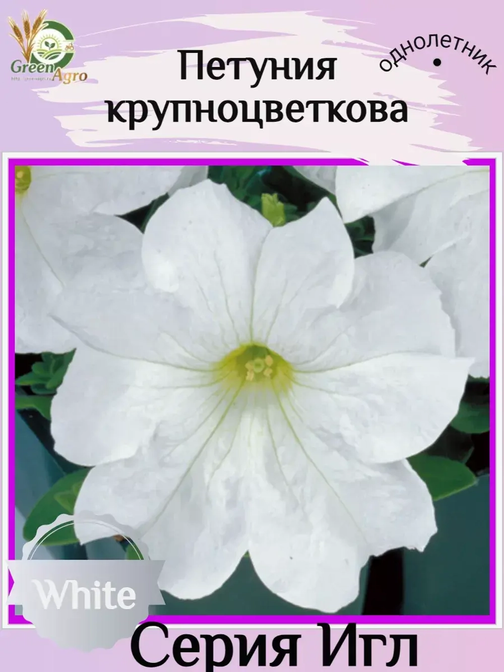 Семена Петуния Крупноцветковая