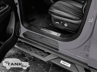 Накладки на пороги в проем дверей BRM (Серый логотип. Комплект 4 шт.) TANK 300