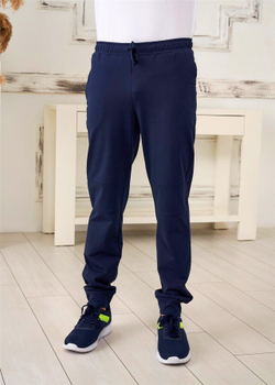 RELAX MODE / Спортивные штаны мужские брюки спортивные мужские треники - 40089