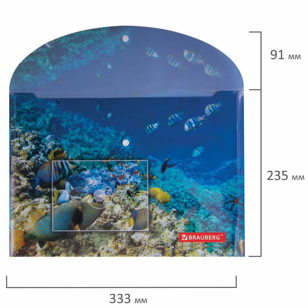 Папка-конверт с кнопкой BRAUBERG "SEA WORLD" А4 160 мкм до 100 листов цветная печать (12 штук в упаковке)