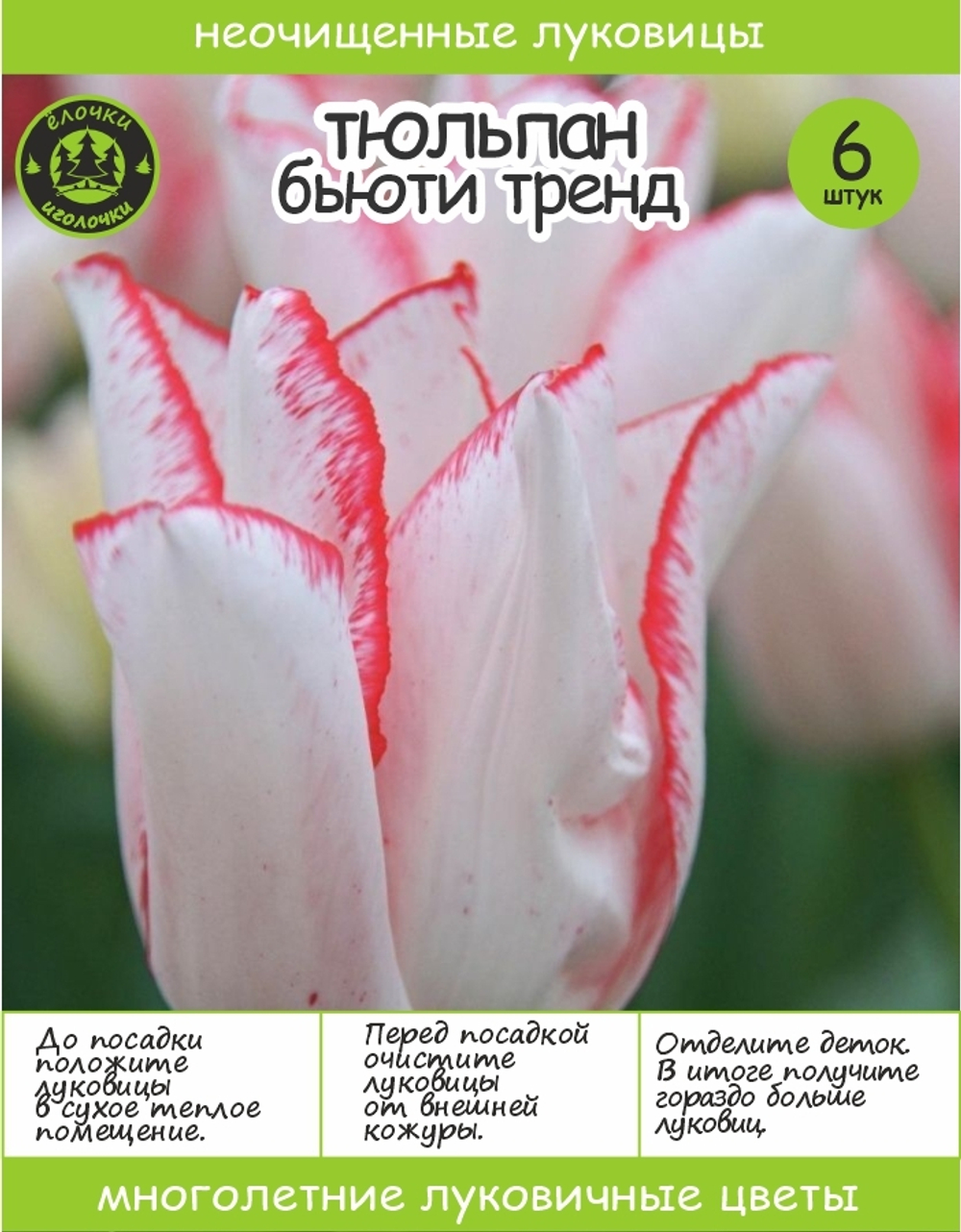 Тюльпан Луковица, Бьюти Тренд, 6+шт