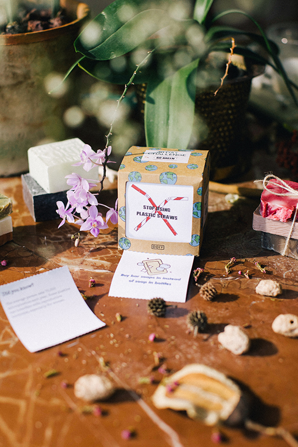 Игра Doiy 30 дней Go Green