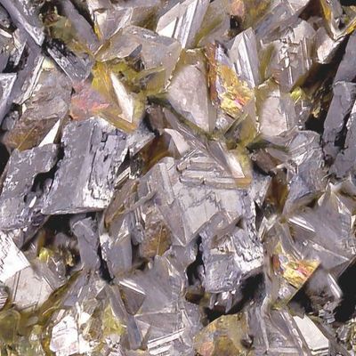 Оливково-белый