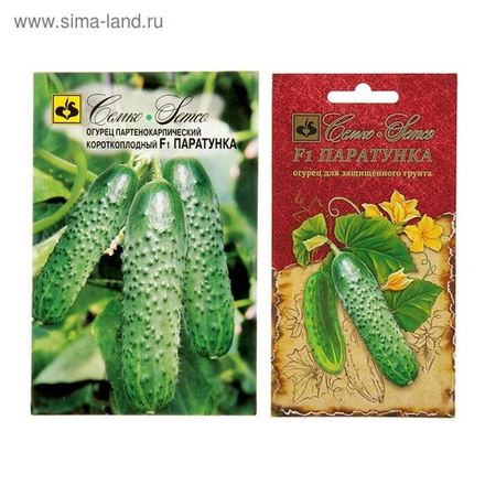 Огурец Паратунка F1 Семко