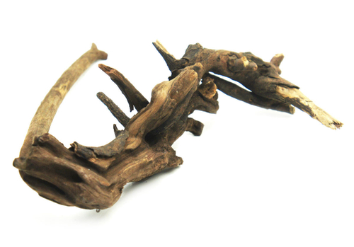 Коряга мангровая натуральная "Bell Wood" 10-25 см. 008