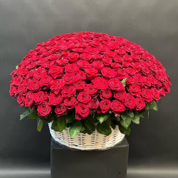 301 красная роза в корзине