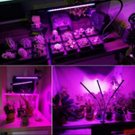 Фитолампа для растений и рассады, Светильник, Лампа светодиодная 1/ 2/ 3/ 4шт LED лампы