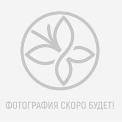 Püf, Пигмент "Butterfly" #13, 1 шт