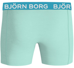 Мужские спортивные боксеры Björn Borg Essential Boxer 1P - blue