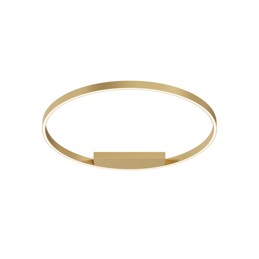 Светильник потолочный светодиодный Maytoni   MOD058CL-L50BSK