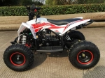 Детский квадроцикл MOTAX GEKKON 90cc 1+1 (Реверс)