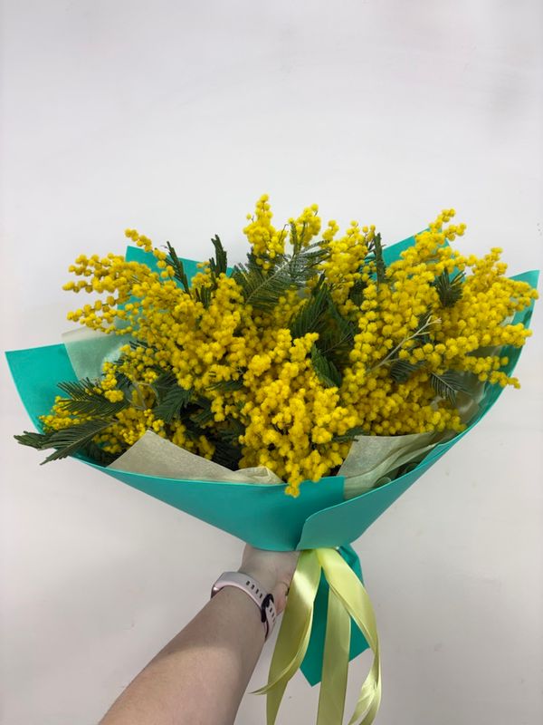 Букет из мимозы в упаковке