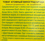 Томат Атомный виноград Бреда 20 шт СМТ-138