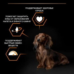 Purina pro plan small & mini сухой корм для взрослых собак миниатюрных и мелких пород с курицей и рисом - 700 г