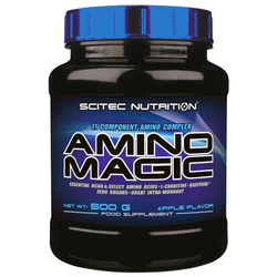 Scitec Nutrition Amino Magic (500 гр.) [M]