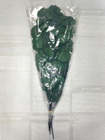 Эвкалипт стабилизированный популус зеленый