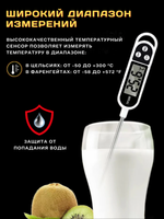 Термометр щуп цифровой CGPro