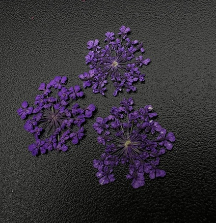 1683 Сухоцветы "Любимые цветочки"