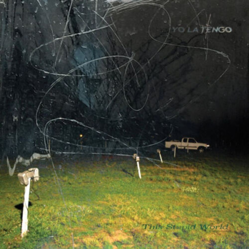 Yo La Tengo / This Stupid World (2LP)