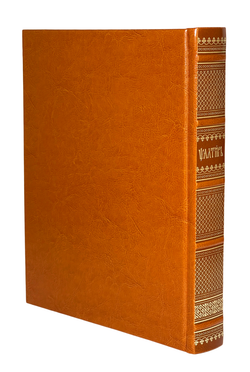 IMG_2178-PhotoRoom.png-PhotoRoom