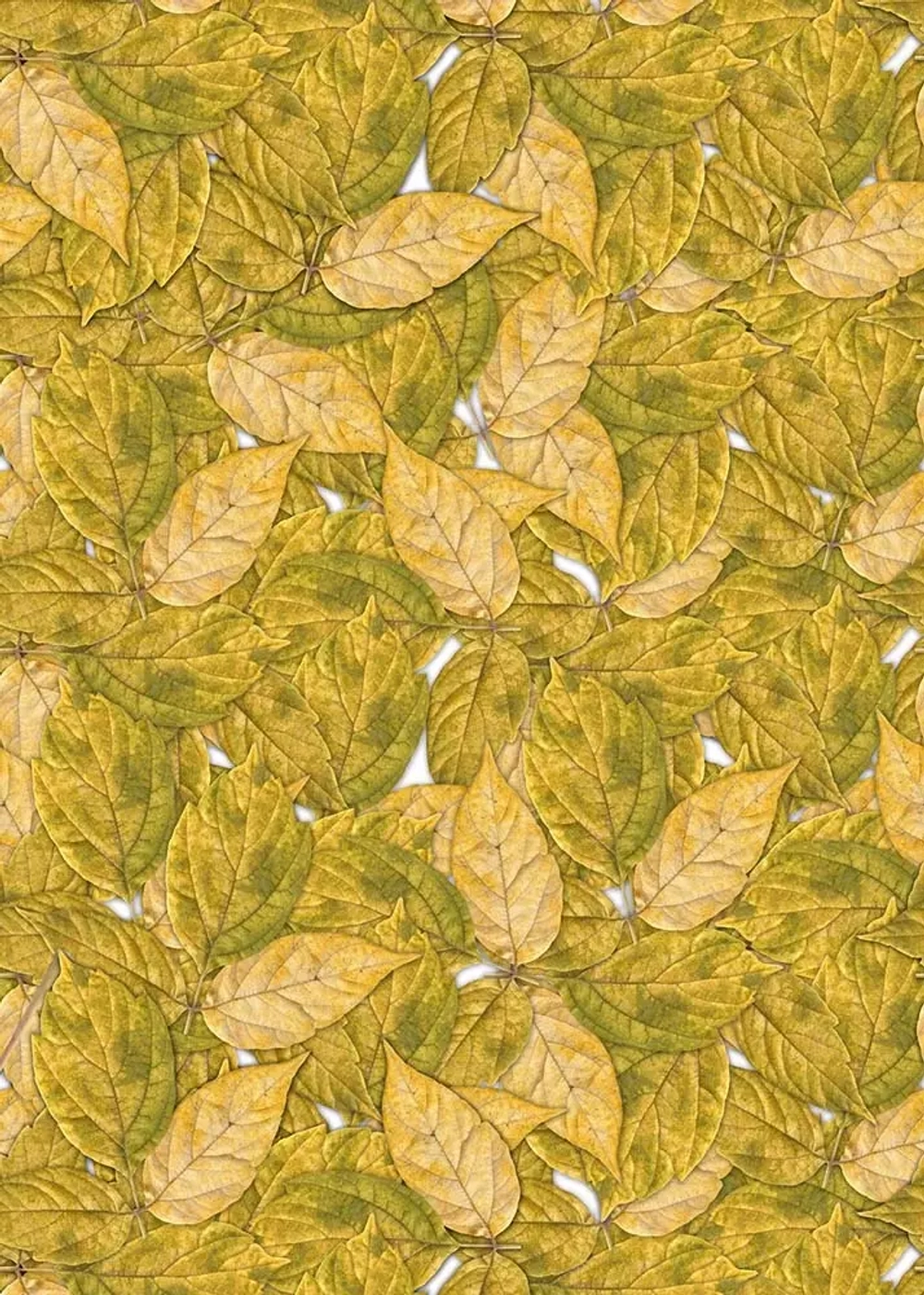 Цифровое панно ID Wall AUTUMN FOLIAGE