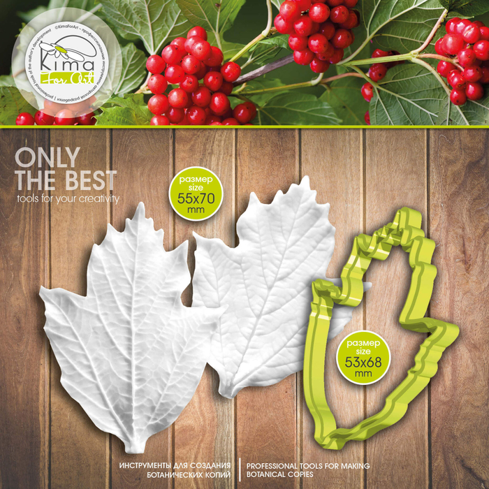 Калина лист