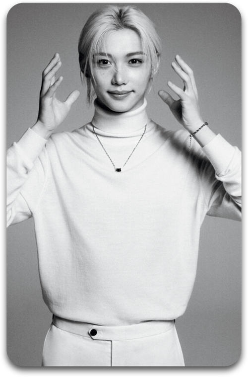 Карта / STRAY KIDS #2301