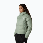 Женский пуховик The North Face Hyalite Down Hoodie state moss