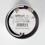 Накладной светодиодный светильник Citilux Rover CL743060N